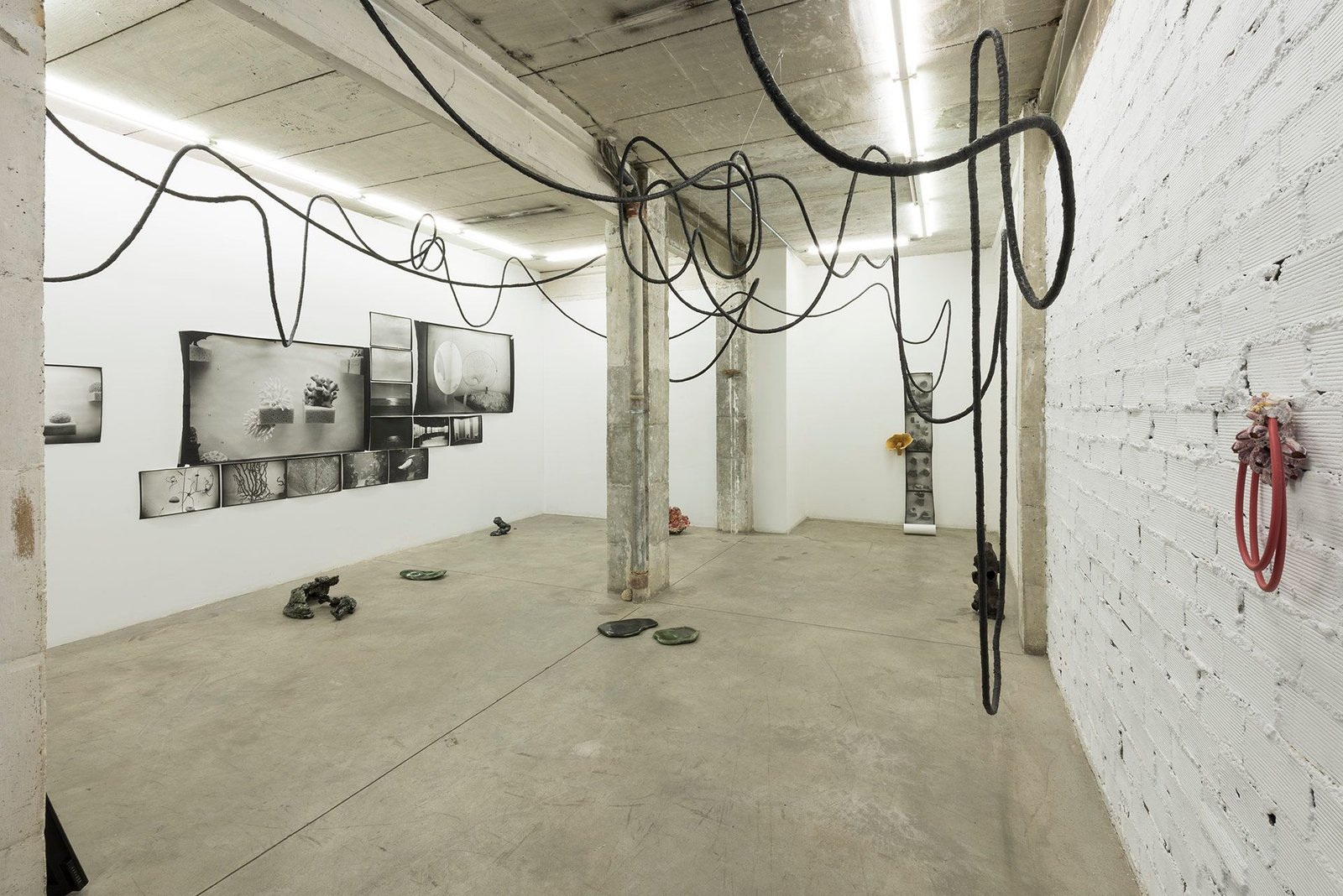 Galería Nogueras Blanchard — Build Up — “Mushrooms on the ruins” Iza Tarasewicz, Olivier Castel, Petra Feriancová, Salvatore Arancio